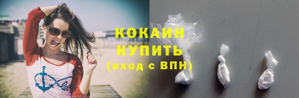 ГАЛЛЮЦИНОГЕННЫЕ ГРИБЫ Корсаков