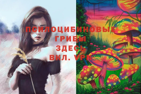 метамфетамин Козельск