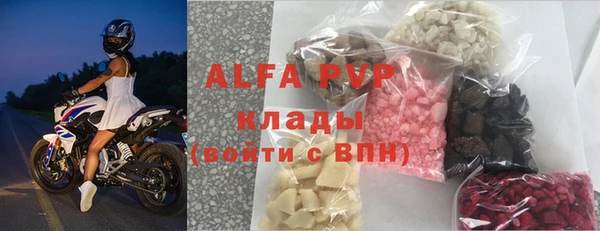 прущие грибы Цивильск