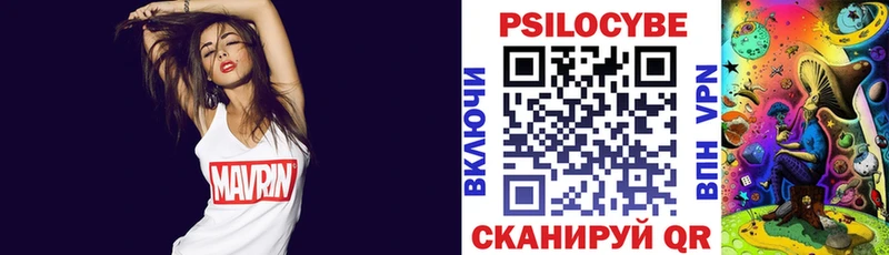 blacksprut ONION  Аша  Псилоцибиновые грибы мицелий  купить  цена 