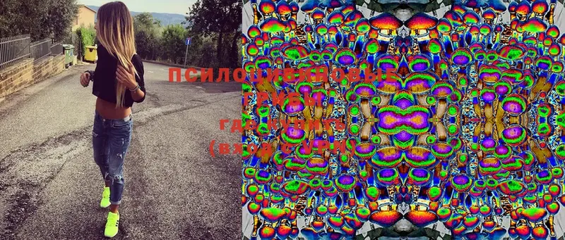 Псилоцибиновые грибы Magic Shrooms Аша
