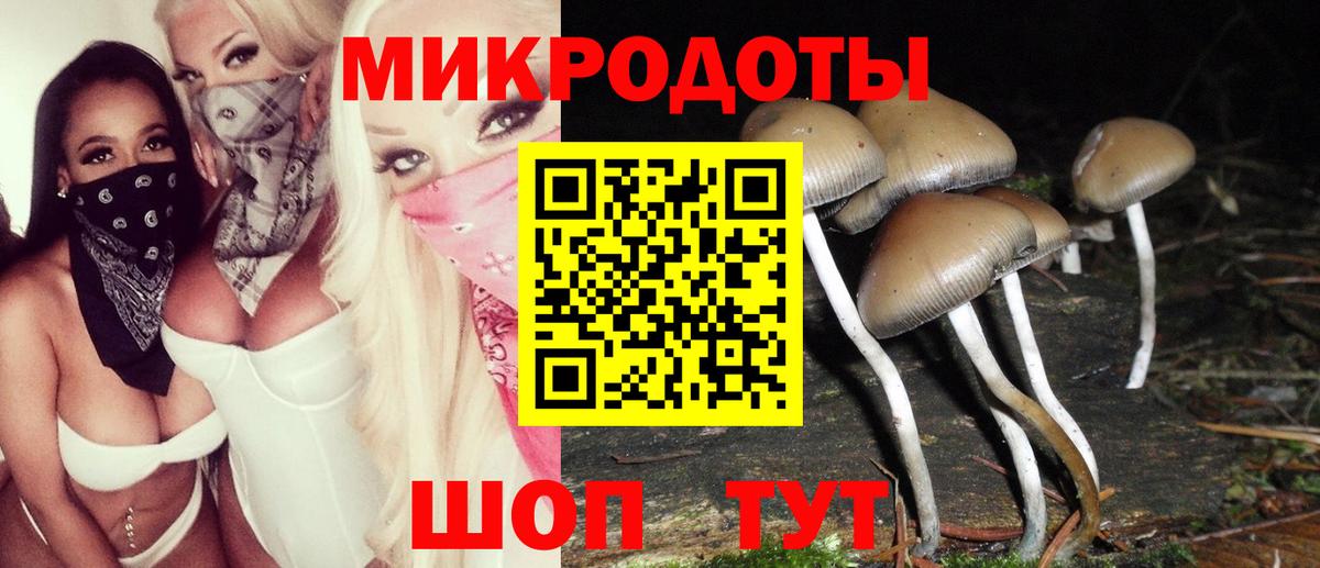 как найти наркотики  Аша  Псилоцибиновые грибы ЛСД 